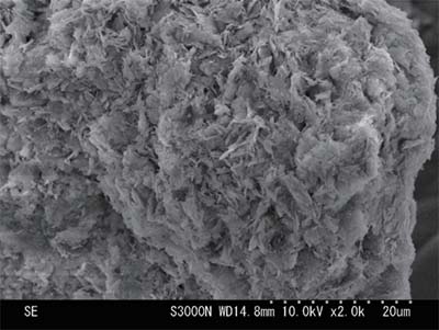 Cross section of Fujicalin® particle(x 2,000)