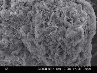 Cross section of Fujicalin® particle(x 2,000)